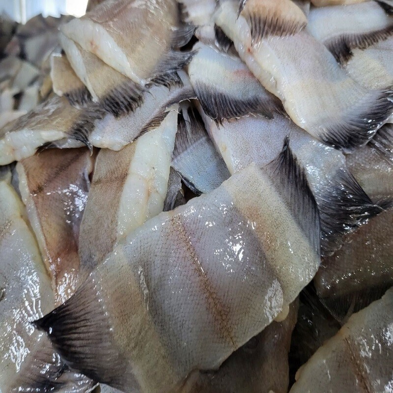 속초몰,아빠솜씨 밥도둑 가자미 식해